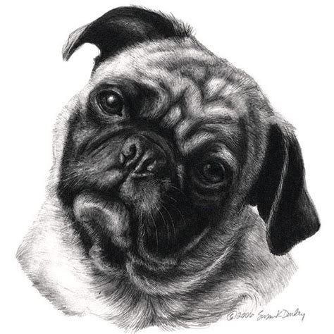 I can draw your favorite pet from your various photos that you send to me. Design Stack: A Blog about Art, Design and Architecture ...