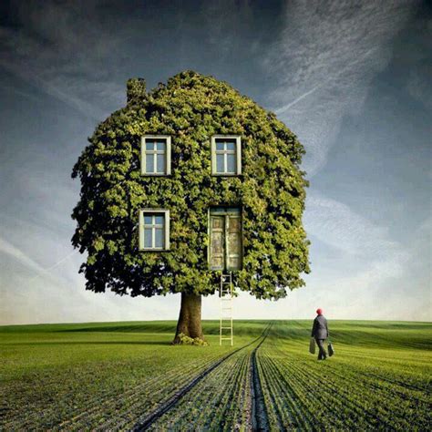 My Tree House O Surrealism Photography Surreal Photos Surreal
