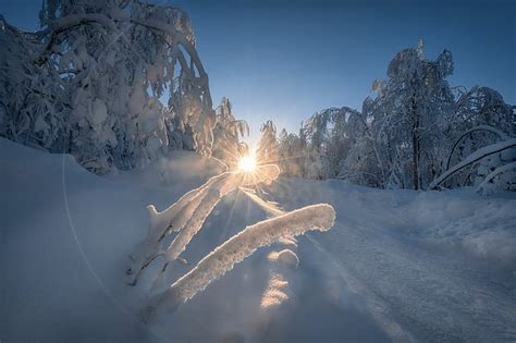 Hd Wallpaper Winter Road Snow Trees The Snow Russia Perm Krai