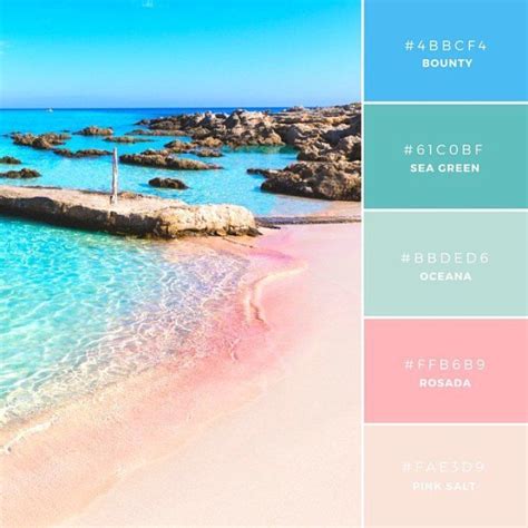 Vibrant Color Palette Combos Take Colors From The World To Inspire