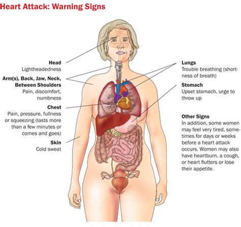 Take an exciting adventure through some woman's innards. Lesbian and bisexual health | womenshealth.gov