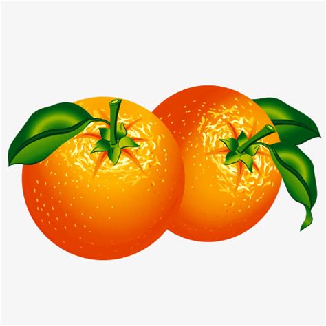 Cartoon Oranges, Orange Cartoon Material, Vector Material, Mito Material PNG and PSD File for ...