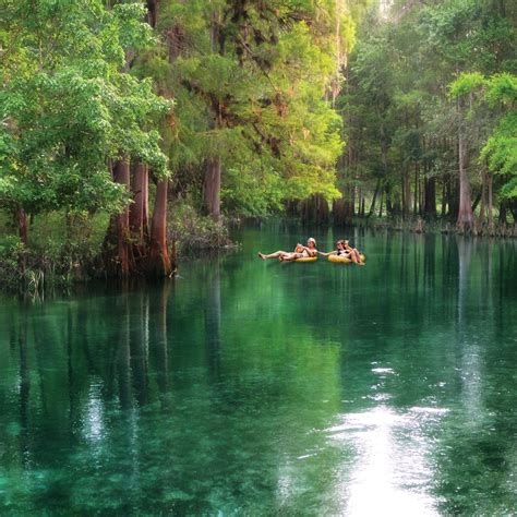 Your Guide To Tubing At Four Of Floridas Coolest Springs Sarasota