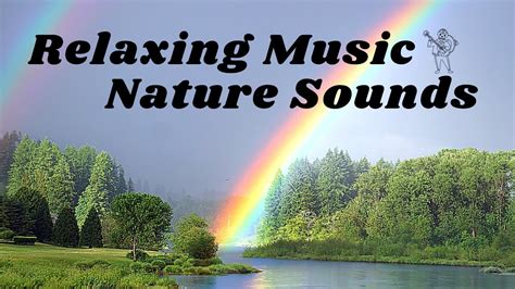 relaxing music nature sounds guitar youtube