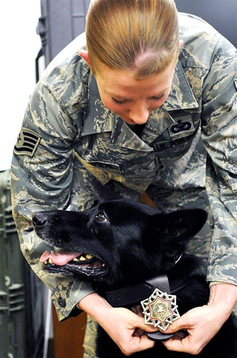 K9 Heroes Awesome Congrats To You Both Staff Sgt Samantha