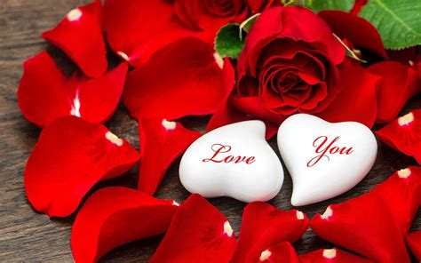 Beautiful Love Pics For Lovers Hd Wallpaper