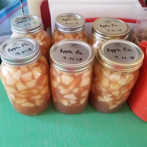 1 quart jar fills a 9 pie shell. Canned Apple Pie Filling Photos - Allrecipes.com