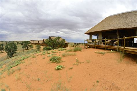 rooiputs luxury lodge is located on the botswana side of the kgalagadi park