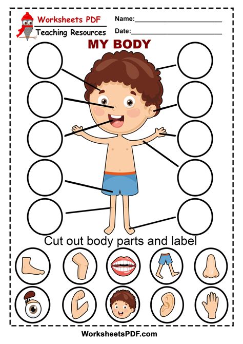 Body Parts Worksheet For Kids Parts Of The Body Worksheets For Kids