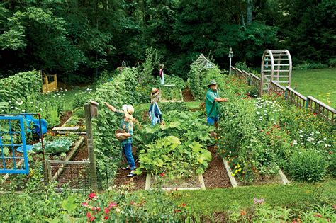 Make your own woven lawn and border edging! Steal These Secrets for Growing Your Own Veggie Patch ...