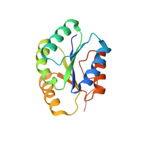 Rcsb Pdb Mr Solution Nmr Structure Of De Novo Designed Protein