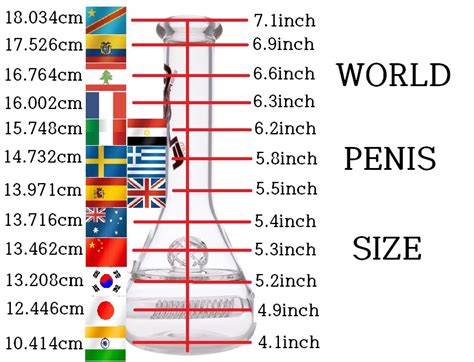 World Penis Size