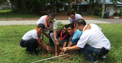 World Peace Day Tree Planting World Scouting