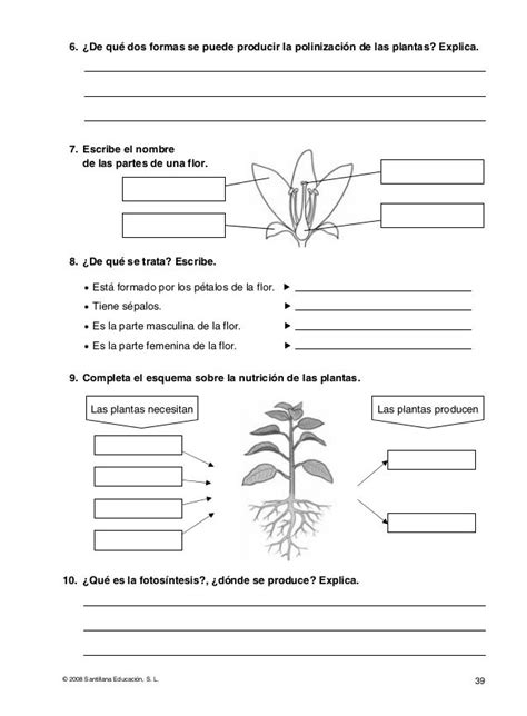 Evaluaciones Conocimiento Del Medio 4º Ciencias De La Naturaleza