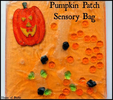 House Of Burke Pumpkin Patch Sensory Bag