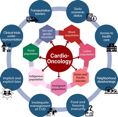 Frontiers Inequity In Care Delivery In Cardio Oncology Dissecting