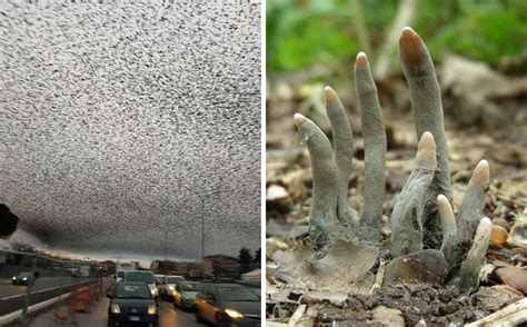 15 Times Nature Made Us Say Nope Warning This List Might Be Too