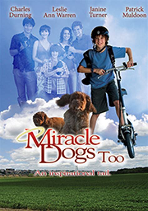 Miracle Dogs Too Trailer Reviews And Meer Pathé