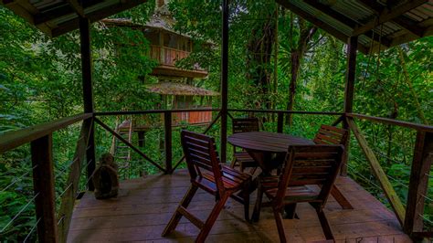 Finca Bellavista Treehouse Community And Eco Lodge In Costa Ricafinca