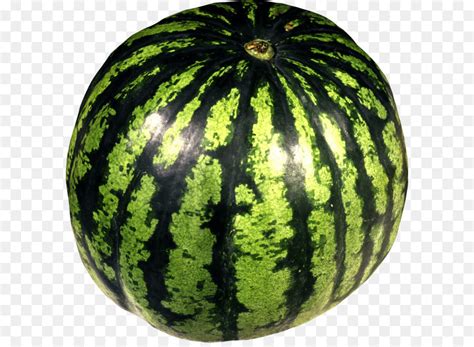 Buah melon menjadi idaman dimana saja, seringkali ditemukan melon dalam hidangan. Paling Bagus 30+ Gambar Buah Watermelon - Gani Gambar