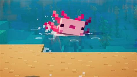 Minecraft Axolotls Cómo Domesticar A Un Axolotl En La Actualización