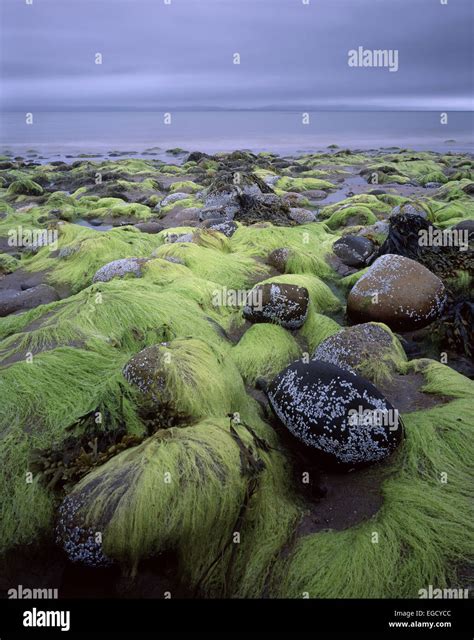 Kintyre Peninsula Caledonia Hi Res Stock Photography And Images Alamy