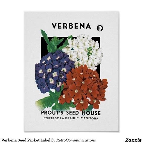 Verbena Seed Packet Label Posters Seed Packets Verbena Seeds