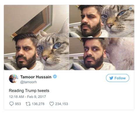 36 genius tweets from 2017 that broke the 50k retweet barrier tettybetty