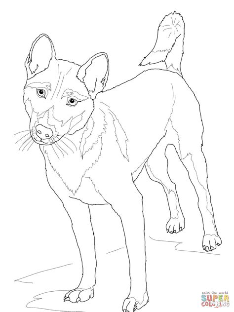 Hunting dog coloring pages template. New Guinea Singing Dog coloring page | Free Printable ...