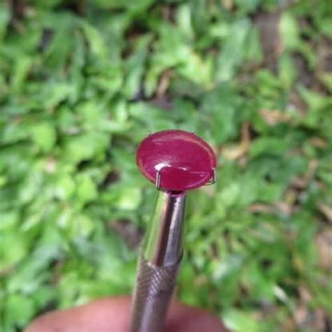 Batu merah delima adalah batu segala hajat yang anda butuhkan. Mustika Merah Delima Batu Asli