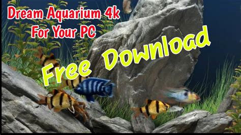 Dream Aquarium Screensaver Full Version Sapjesip