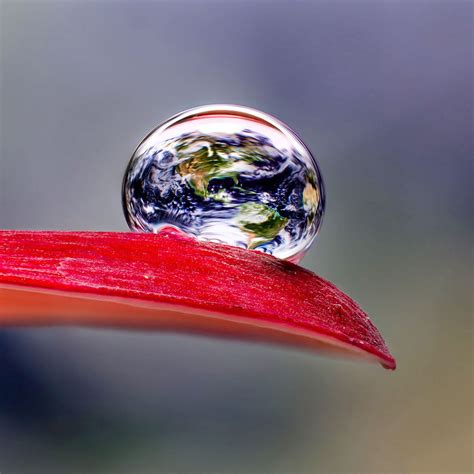 Shooting Water Droplet Refractions For Magical Macro Photos Petapixel