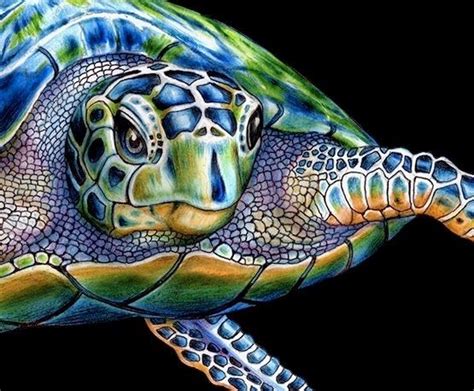 Humans, therefore, change needs to start with us too. Sea Turtle Drawing Color at GetDrawings | Free download