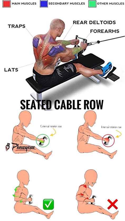 How To Seated Cable Rows Gym Workout Tips Exercise Form Workout