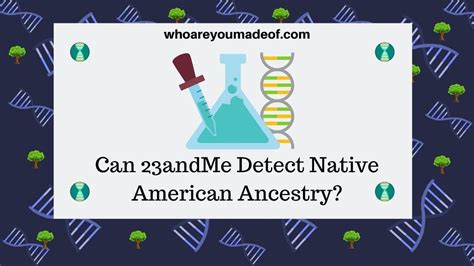 Can 23andme Detect Native American Ancestry Who Are You Made Of