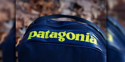 Patagonia Donates 10m To Fight Climate Change And To Sell Tons Of