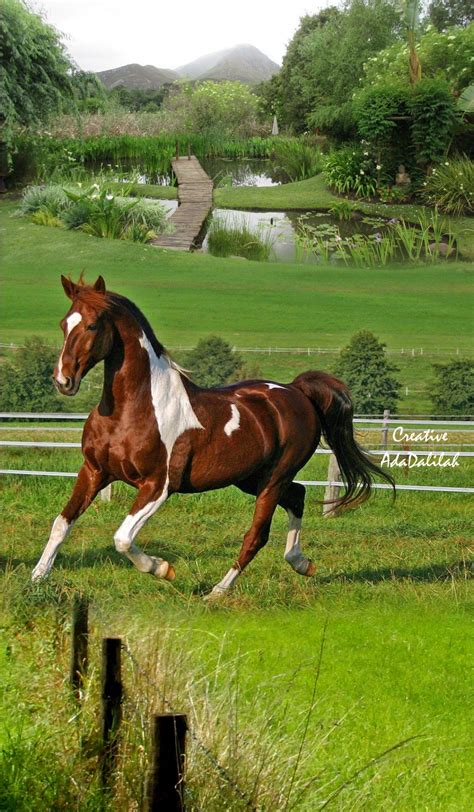 A Brown And White Horse Running Through A Field