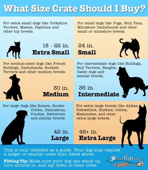No matter what type of puppy you have learn how to get a ballpark figure here. Why Should I Crate Train My Dog | Aggressive dog, Dog ...