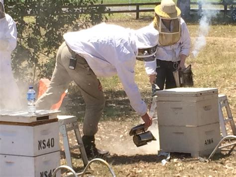 Tocal Beekeeping Field Day Central Coast Amateur Beekeepers