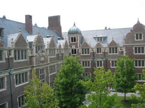 University Of Pennsylvania Colleges For Psychology Top 10 Colleges World University