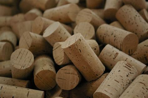 Locally owned wine shop in the tcu area. How Cork Is Made | allhomosapienswelcome