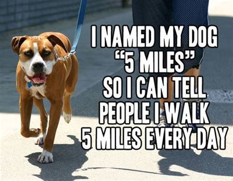 What should i name my dog. I named my dog "5 miles"