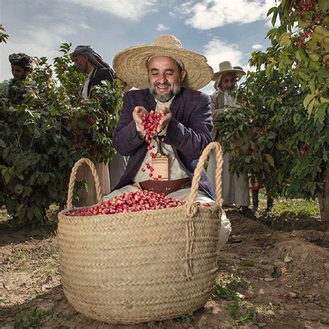 يمنية تضبط زوجها أثناء خيانته لها مع أختها الأصغر سناً. صورة لتاجر البن الشيخ غالب الهماسي من منطقة حراز حيث تم ...