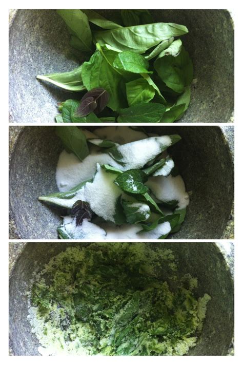 Homegrown Herbs And An Easy Recipe For Basil Mint Lemonade The Dinner