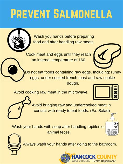 Learn more about salmonella causes, symptoms, complications, treatment, and prevention. Hancock County Health Department