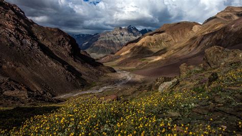 Spiti Valley River Rocks Himalayas Yellow Flowers Plants Sky