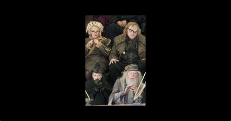 Harry Potter et la Coupe de feu (2005), un film de Mike ...