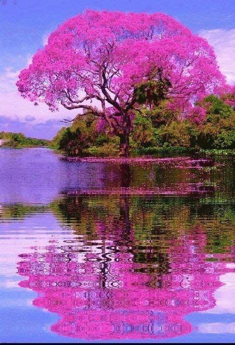 Ideas que te encantarán sobre naturaleza impresionante ...
