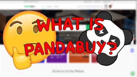 What Is Pandabuy Its Not What You Think Youtube