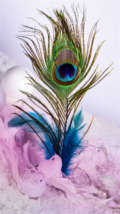 Lord Krishna Peacock Feather Hd Wallpaper Carrotapp